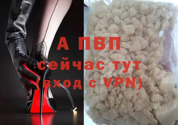 хмурый Нефтекумск