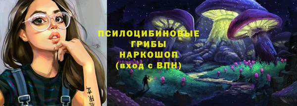 хмурый Нефтекумск