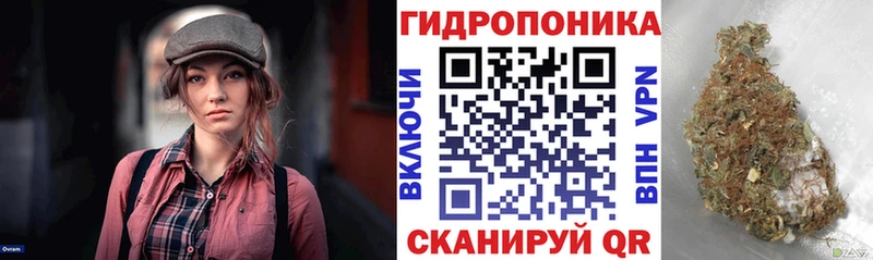 Бошки марихуана White Widow  Купить закладки  Нахабино 